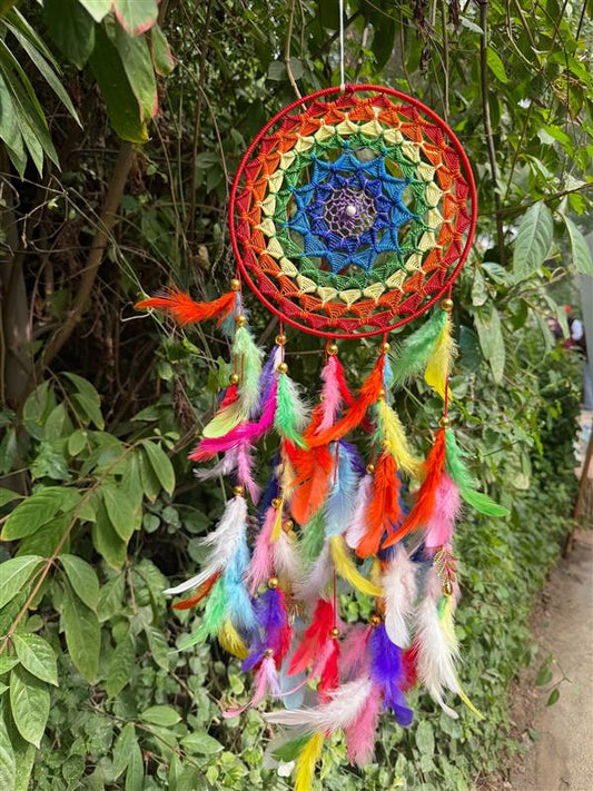 Multicolor Dreamcatcher