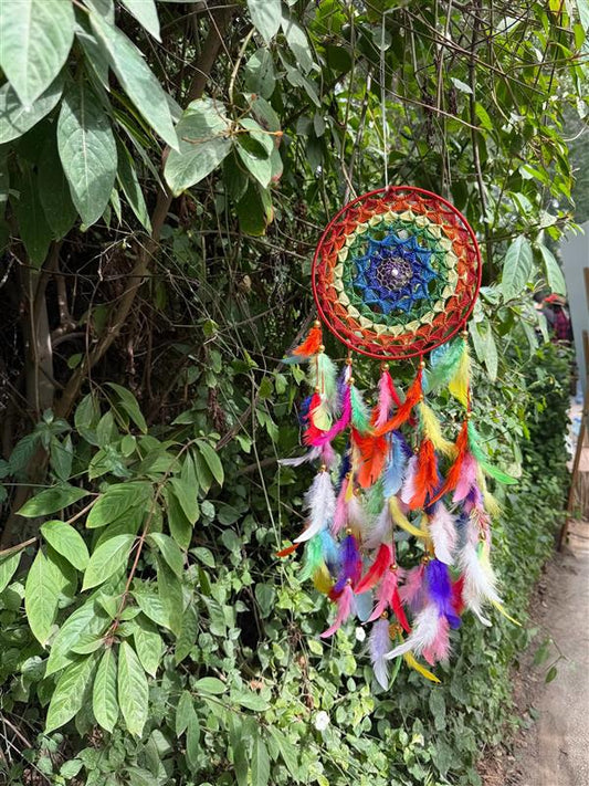 Multicolor Dreamcatcher